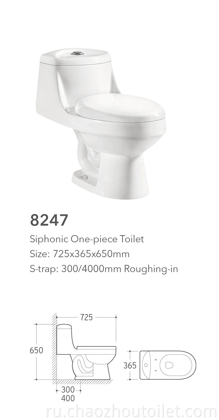 8247 One Piece Toilet